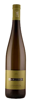 Sylvaner