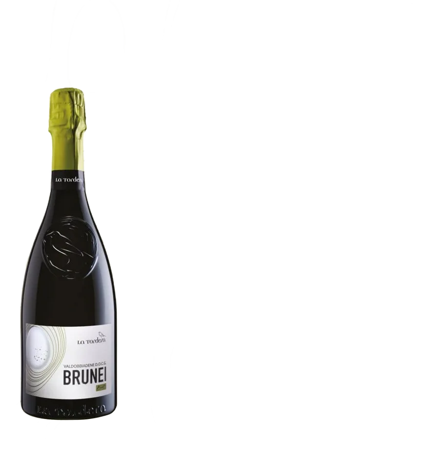 Brunei Brut