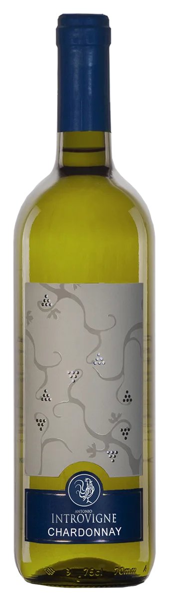 Chardonnay