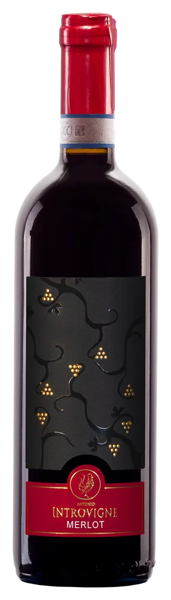 Merlot