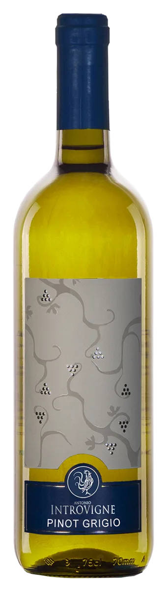 Pinot Grigio