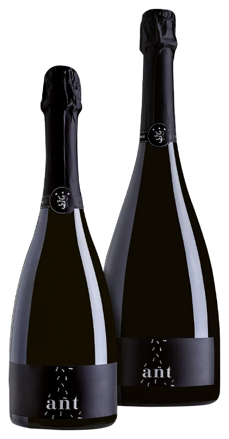 Spumante Extra Brut Metodo Classico