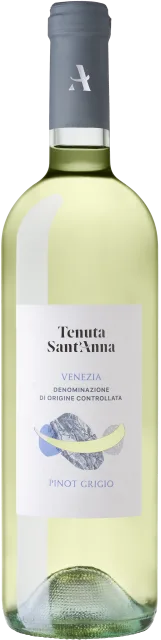 Venezia Pinot Grigio