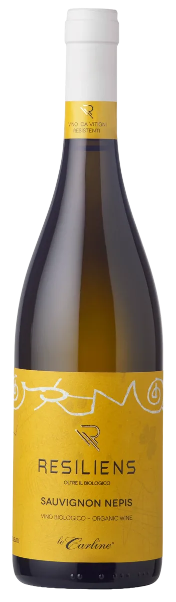 Sauvignon Nepis Resiliens PIWI