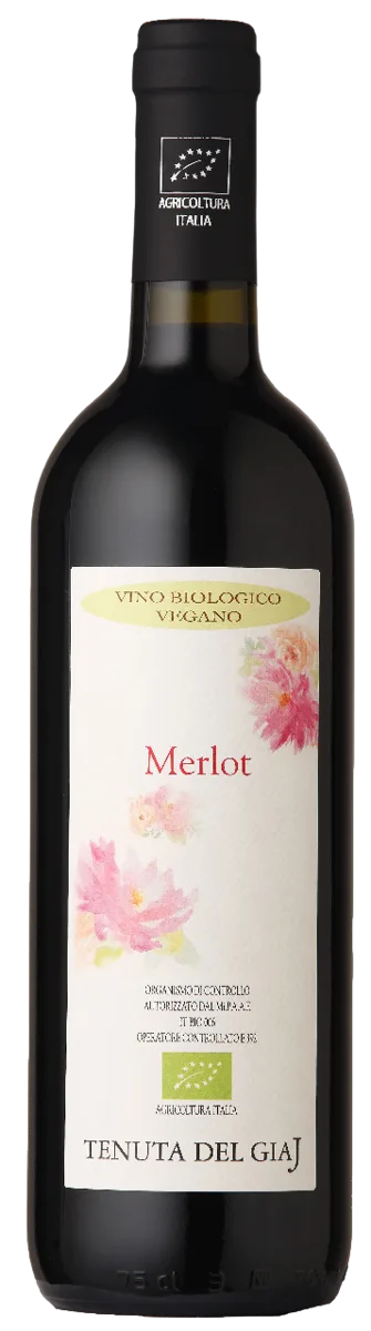 Merlot vino rosso
