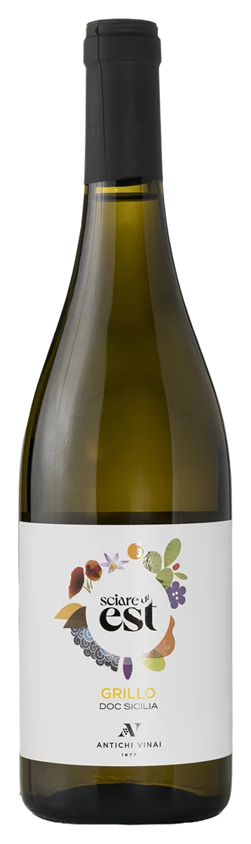 SciarediEst Grillo