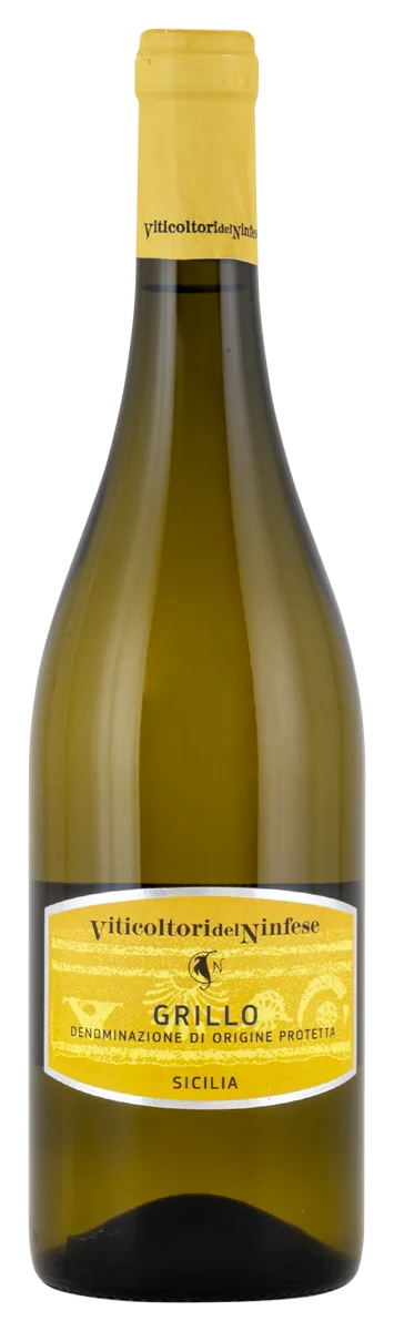 Grillo