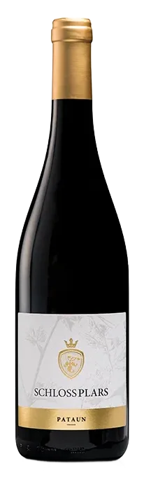 Pataun