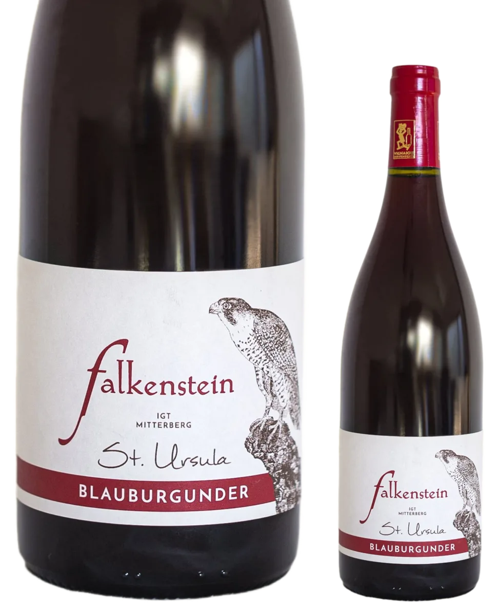 Blauburgunder St. Ursula