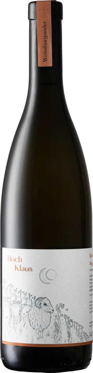 Weissburgunder Amphora