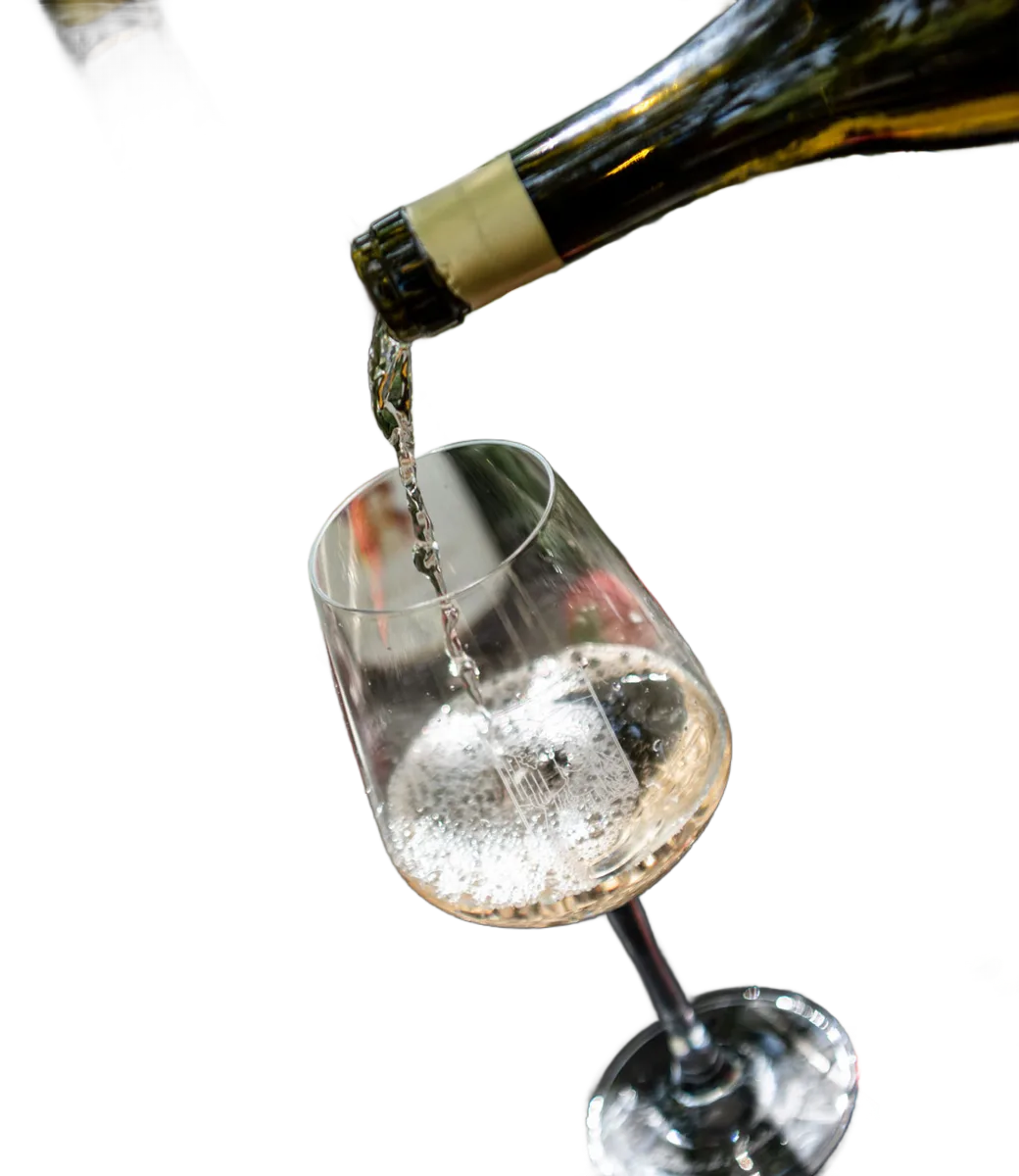 Chardonnay di Montemaggio IGT