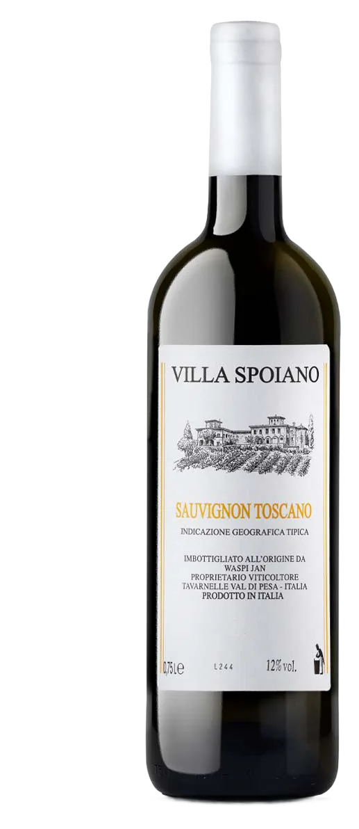 Sauvignon