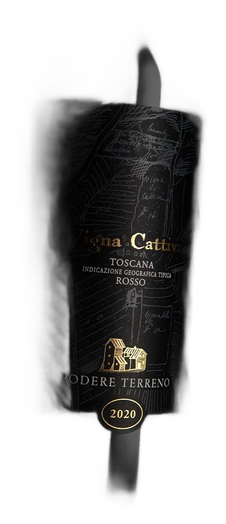 Vigna Cattiva