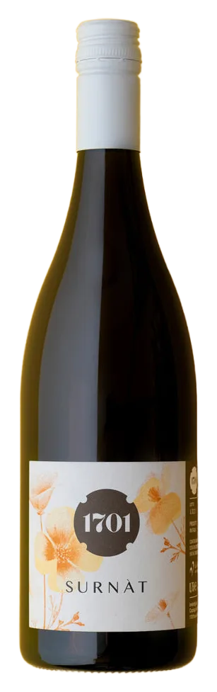 1701 Surnàt