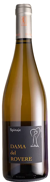 SPINAJE