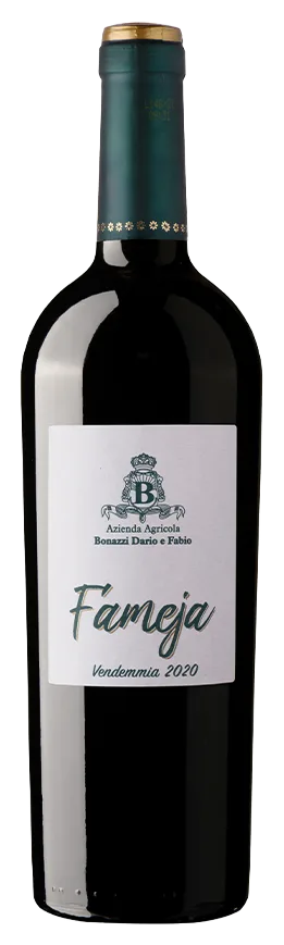 Fameja rosso veronese IGT 2024