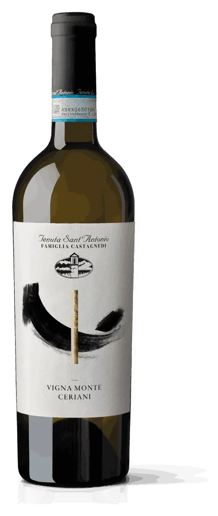 Vigna Monte Ceriani