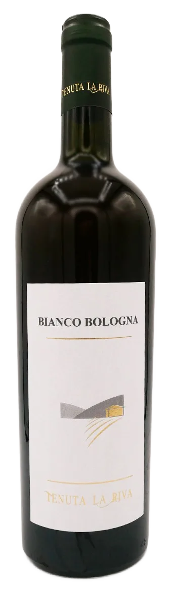 Bianco Bologna