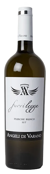Fuorilegge Marche Bianco