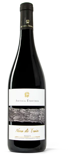 Nero di Troia