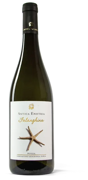 Falanghina