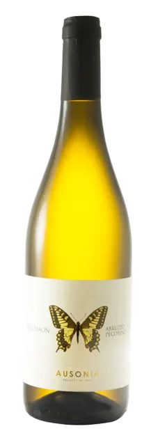 Machaon Abruzzo Pecorino