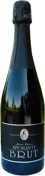 BRUT SPUMANTE D.O.C.G. METODO CLASSICO