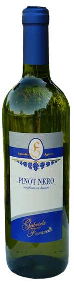 PINOT NERO