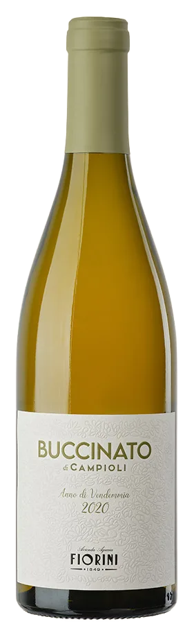 Buccinato di Campioli
