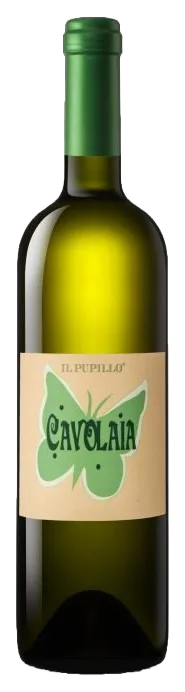 Cavolaia
