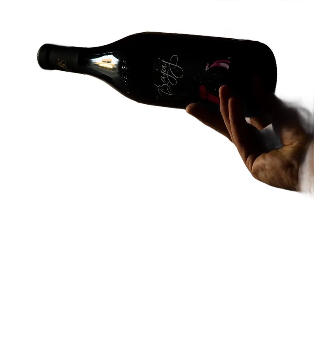 “Pandorae vas” – Vino rosso