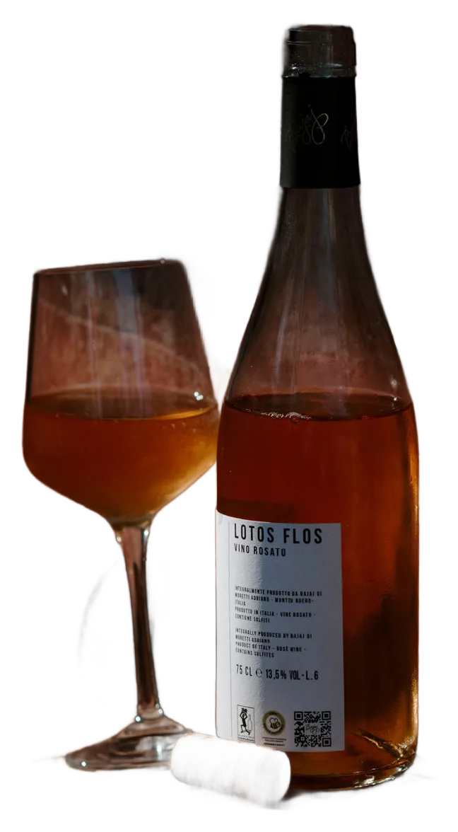 “Lotos Flos” – Rosé