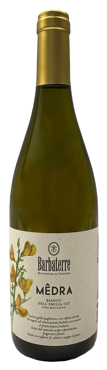 Medrà