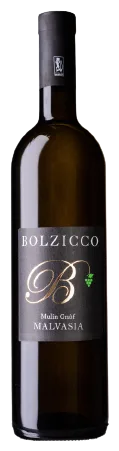 Malvasia