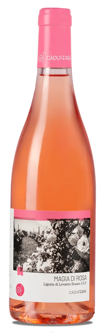Magia di Rosa