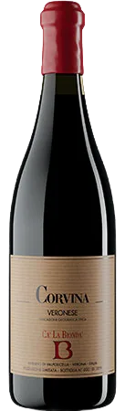 Corvina