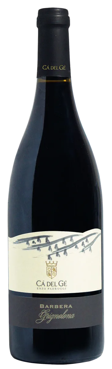 Barbera DOC 2024 Grignolona