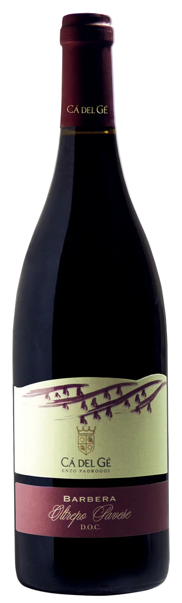 Barbera Frizzante IGT 2023