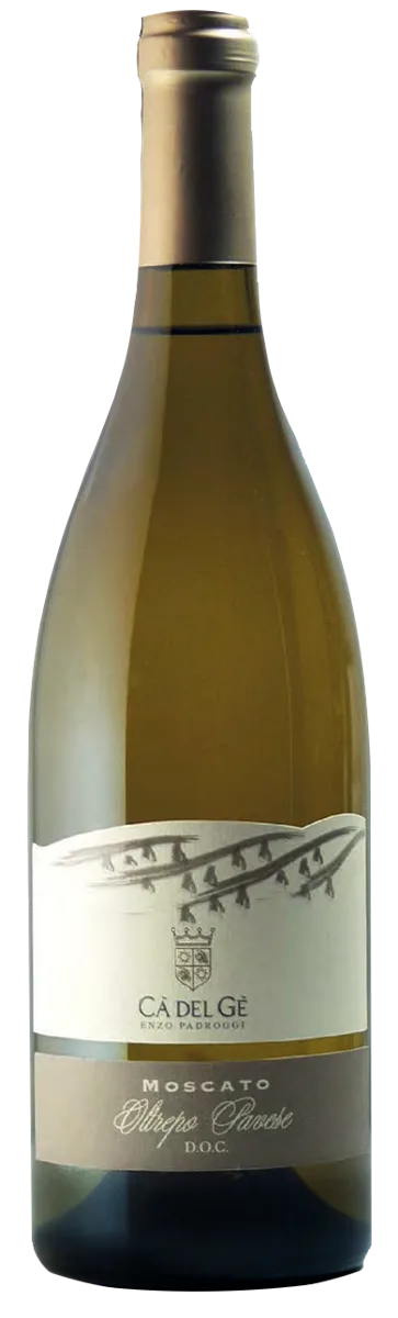Moscato DOC 2024