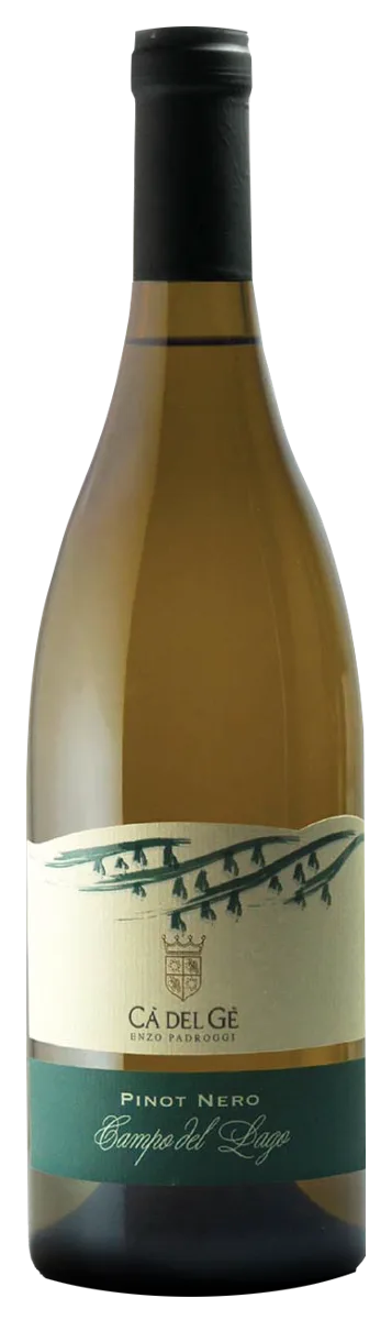 Pinot Nero DOC 2025 Campo del Lago