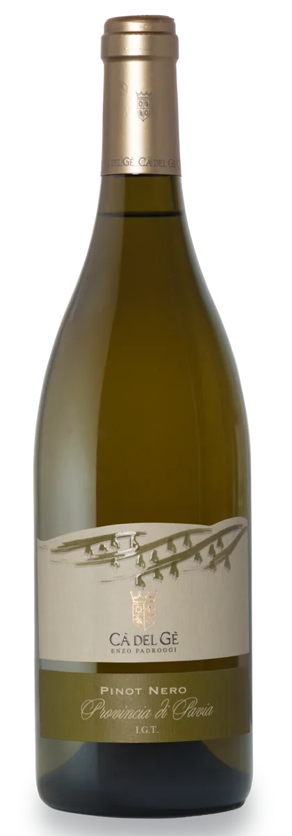 Pinot Nero Frizzante Igt 2025