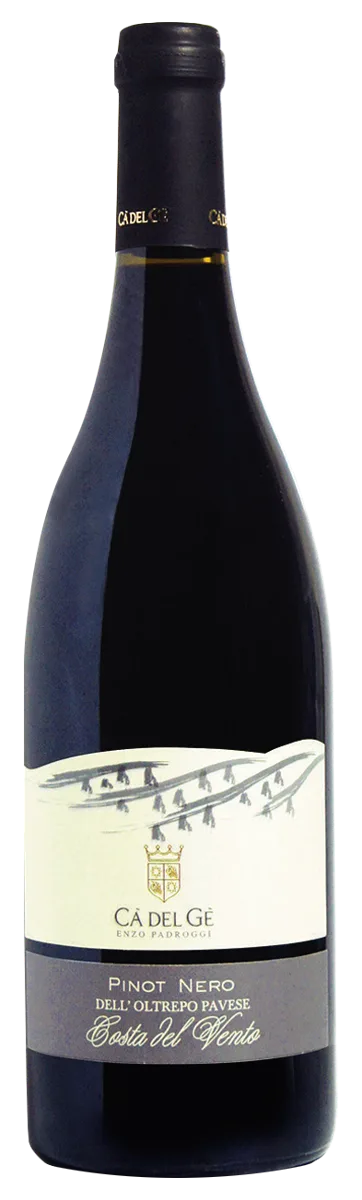 Pinot nero IGT 2025 Costa del Vento
