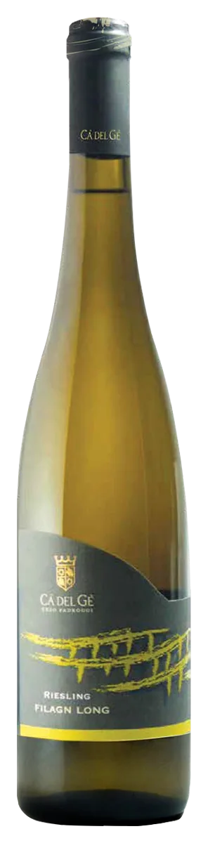 Riesling Filagn Long IGT 2024