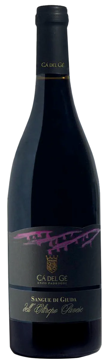 Sangue di Giuda 2025