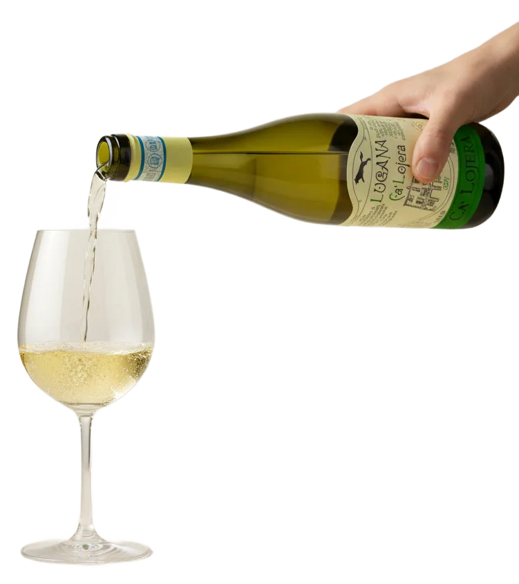 Lugana