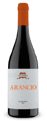 Vino Bianco Macerato