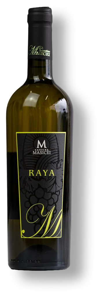 Raya