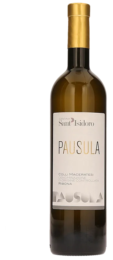 Pausula