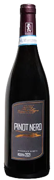 Pinot Nero