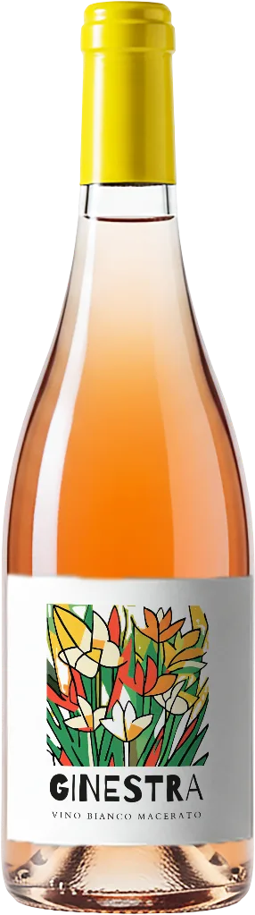 GINESTRA Vino Bianco Macerato